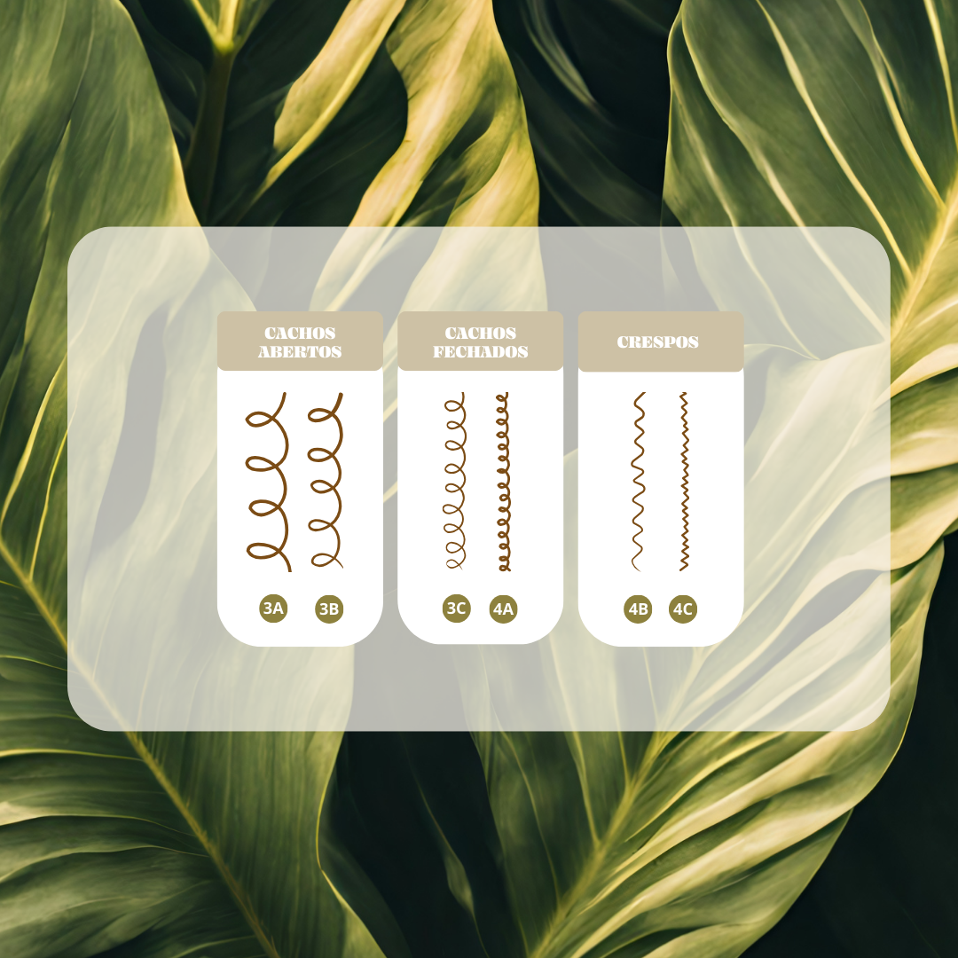 Kit de rutina de fortalecimiento pre-poo